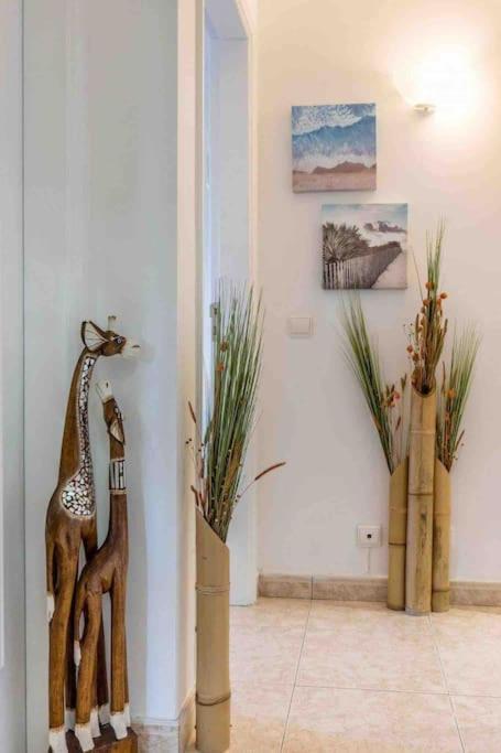 Terracos Do Vau 108 Apartment Portimao Ngoại thất bức ảnh